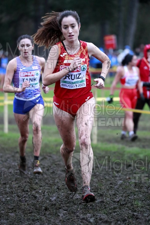 Campeonato de Europa de Campo a Través (Bruselas) 10-12-2023. 