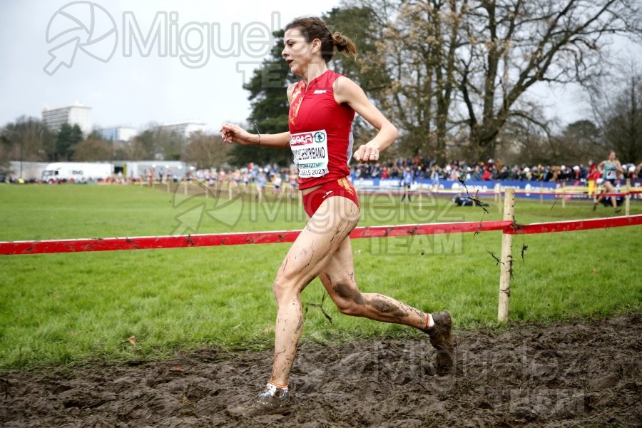 Campeonato de Europa de Campo a Través (Bruselas) 10-12-2023. 