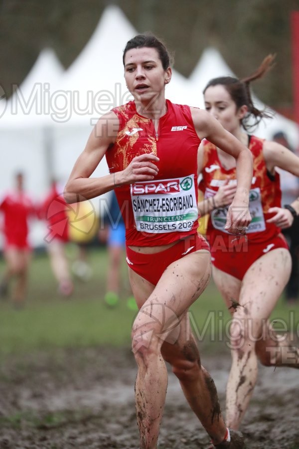 Campeonato de Europa de Campo a Través (Bruselas) 10-12-2023. 