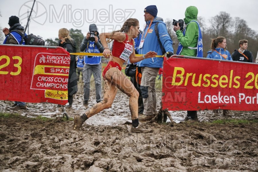 Campeonato de Europa de Campo a Través (Bruselas) 10-12-2023. 