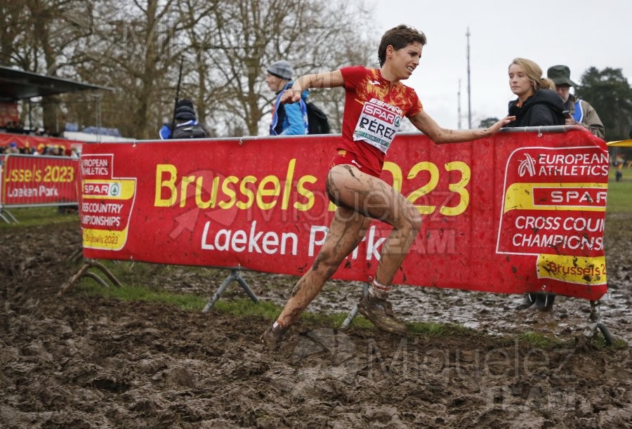 Campeonato de Europa de Campo a Través (Bruselas) 10-12-2023. 