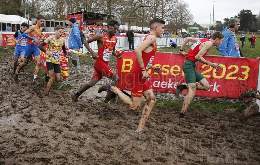 Campeonato de Europa de Campo a Través (Bruselas) 10-12-2023. 