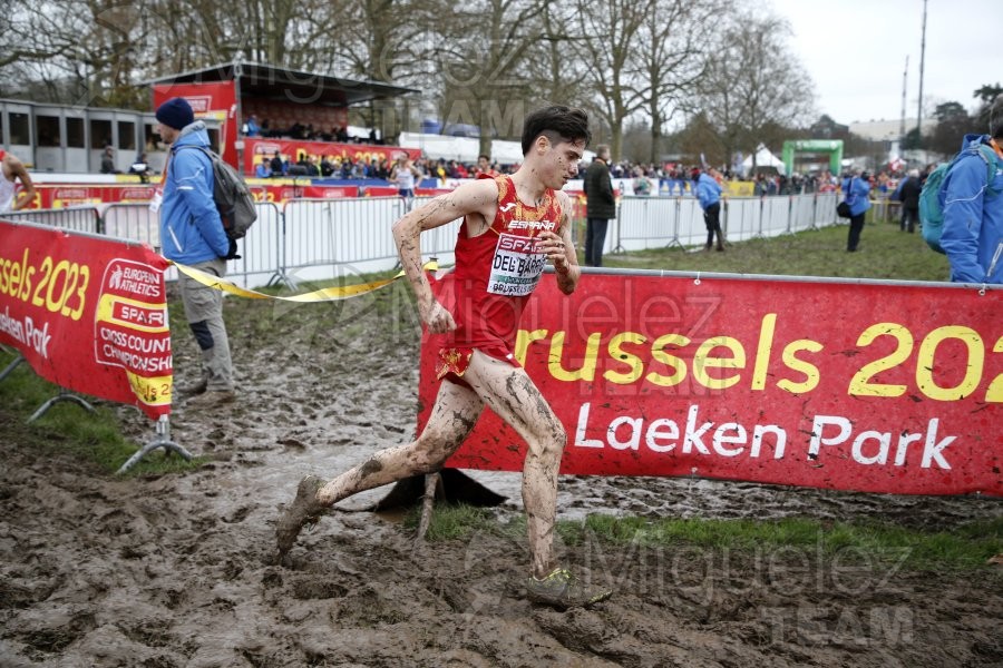 Campeonato de Europa de Campo a Través (Bruselas) 10-12-2023. 