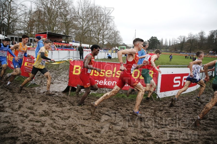 Campeonato de Europa de Campo a Través (Bruselas) 10-12-2023. 