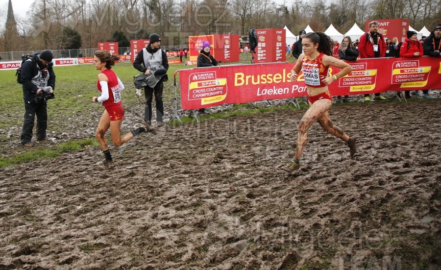 Campeonato de Europa de Campo a Través (Bruselas) 10-12-2023. 