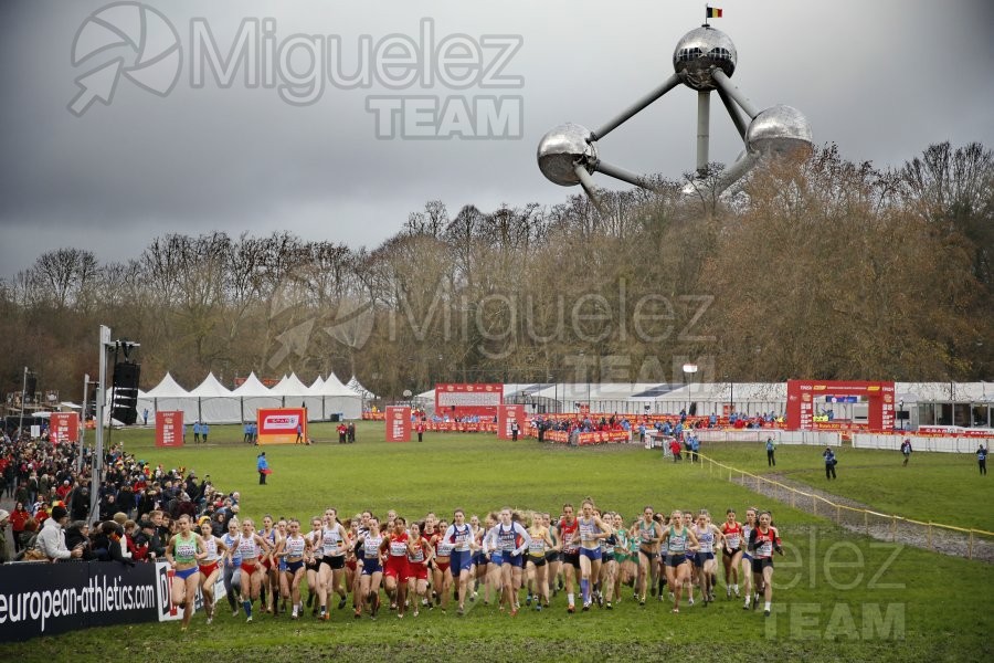 Campeonato de Europa de Campo a Través (Bruselas) 10-12-2023. 