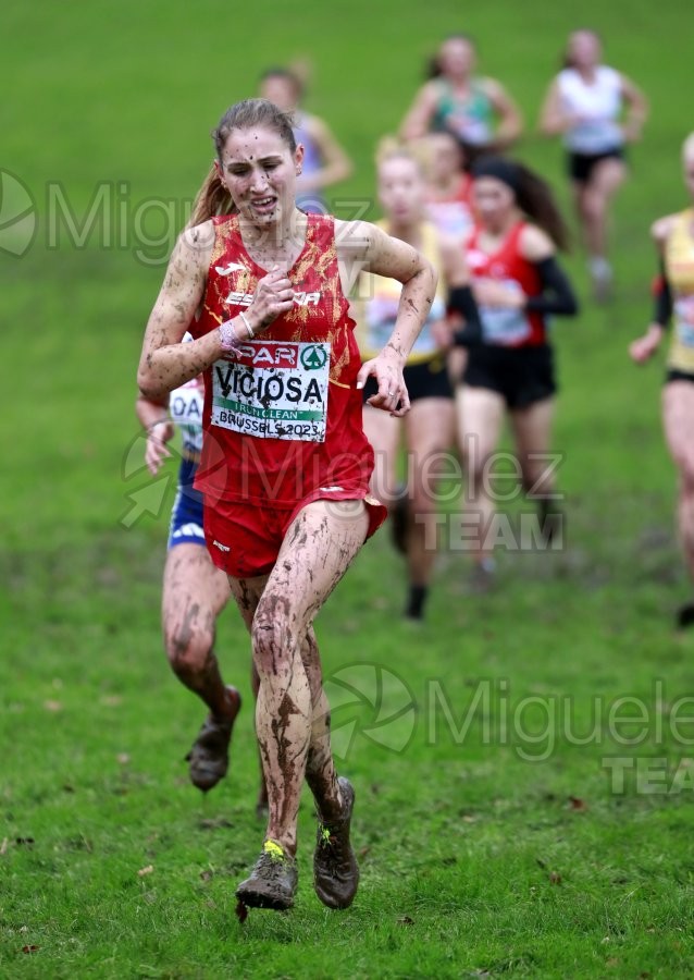 Campeonato de Europa de Campo a Través (Bruselas) 10-12-2023. 