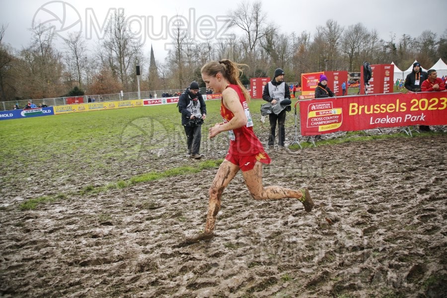 Campeonato de Europa de Campo a Través (Bruselas) 10-12-2023. 