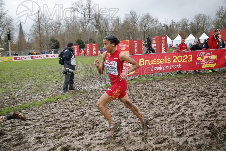 Campeonato de Europa de Campo a Través (Bruselas) 10-12-2023. 