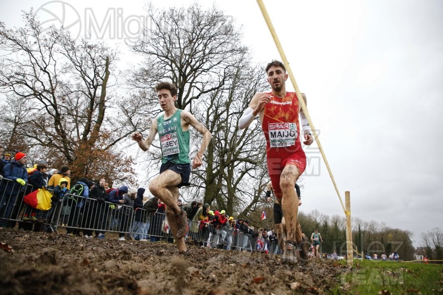 Campeonato de Europa de Campo a Través (Bruselas) 10-12-2023. 