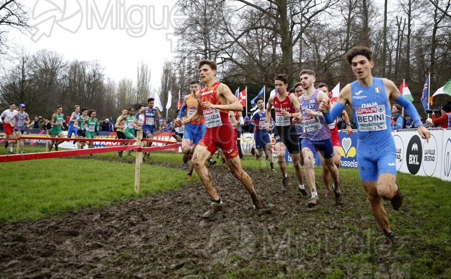 Campeonato de Europa de Campo a Través (Bruselas) 10-12-2023. 