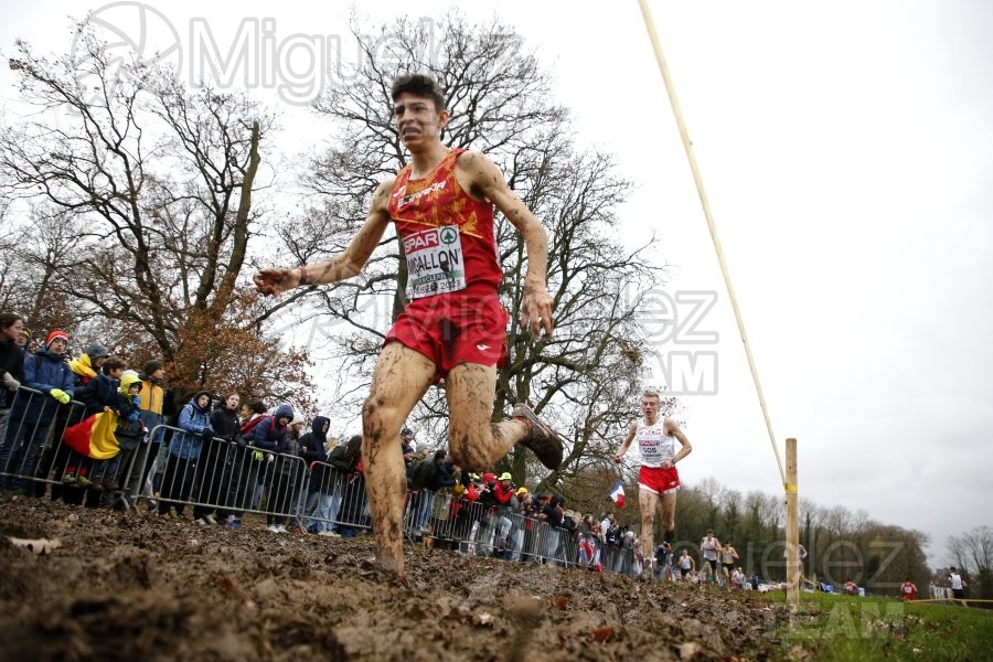 Campeonato de Europa de Campo a Través (Bruselas) 10-12-2023. 