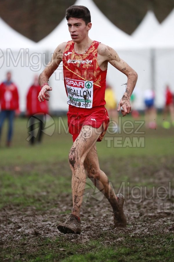 Campeonato de Europa de Campo a Través (Bruselas) 10-12-2023. 