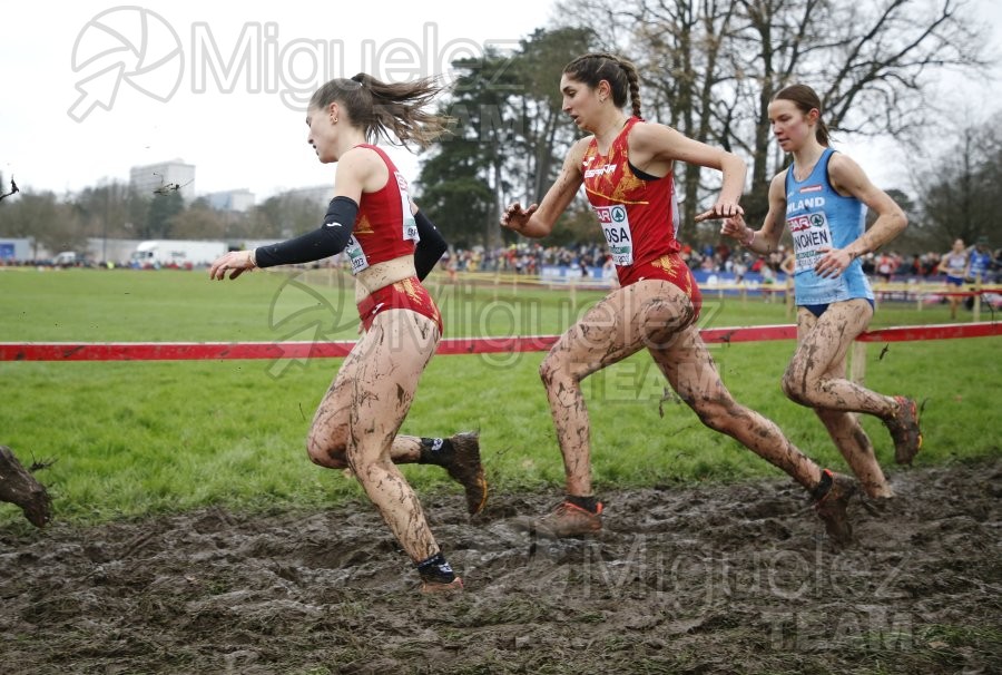 Campeonato de Europa de Campo a Través (Bruselas) 10-12-2023. 