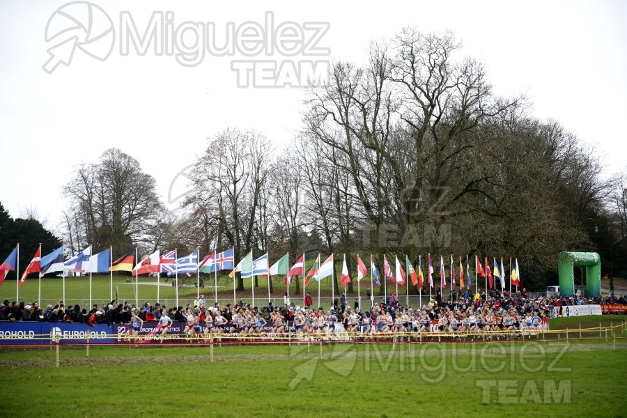 Campeonato de Europa de Campo a Través (Bruselas) 10-12-2023. 