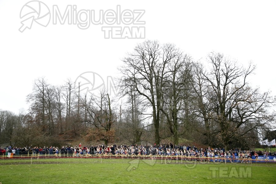 Campeonato de Europa de Campo a Través (Bruselas) 10-12-2023. 