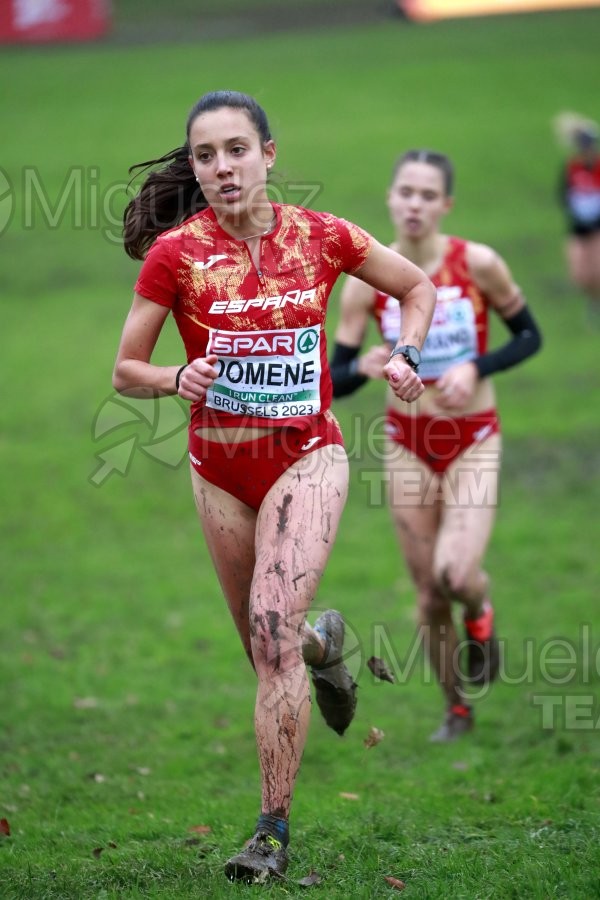 Campeonato de Europa de Campo a Través (Bruselas) 10-12-2023. 