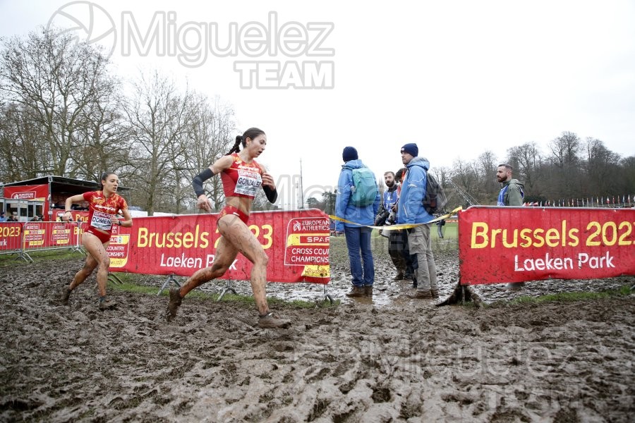 Campeonato de Europa de Campo a Través (Bruselas) 10-12-2023. 