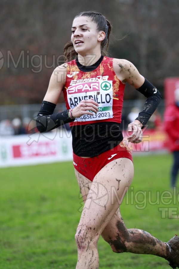 Campeonato de Europa de Campo a Través (Bruselas) 10-12-2023. 