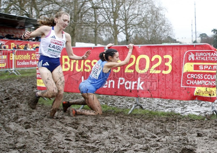 Campeonato de Europa de Campo a Través (Bruselas) 10-12-2023. 