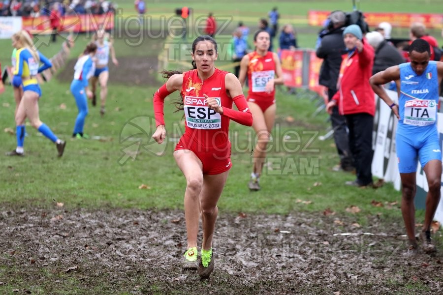 Campeonato de Europa de Campo a Través (Bruselas) 10-12-2023. 