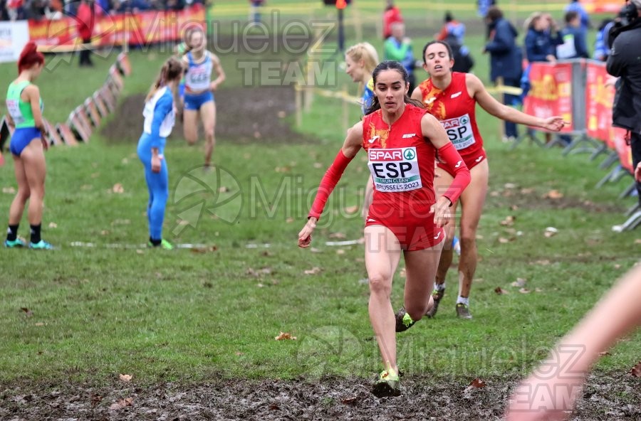 Campeonato de Europa de Campo a Través (Bruselas) 10-12-2023.