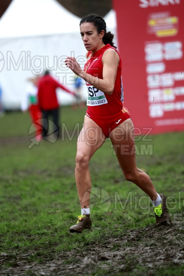 Campeonato de Europa de Campo a Través (Bruselas) 10-12-2023.