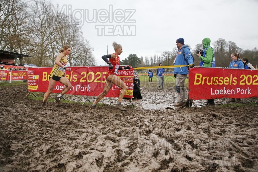 Campeonato de Europa de Campo a Través (Bruselas) 10-12-2023. 