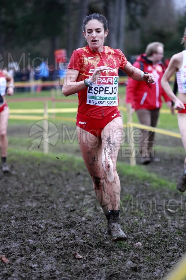 Campeonato de Europa de Campo a Través (Bruselas) 10-12-2023. 