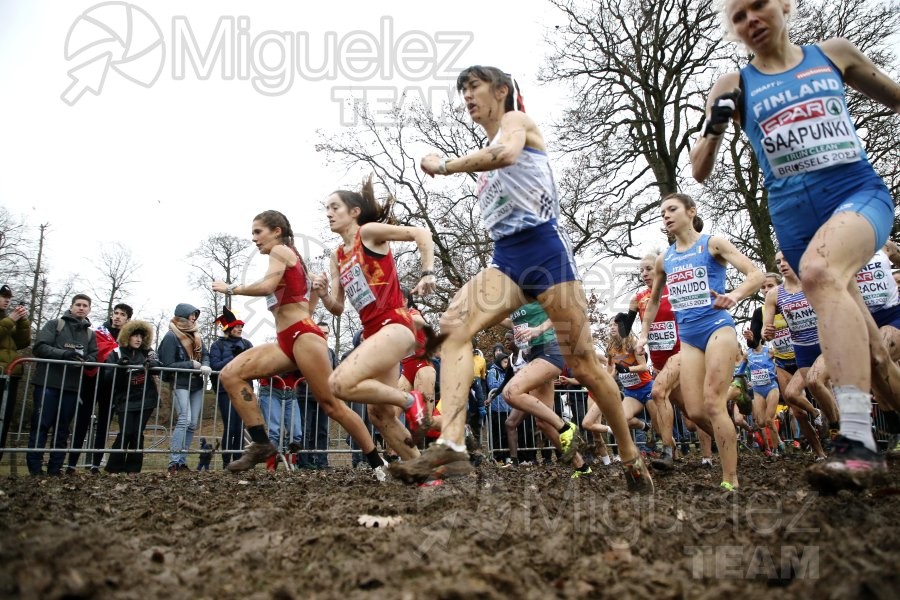 Campeonato de Europa de Campo a Través (Bruselas) 10-12-2023. 