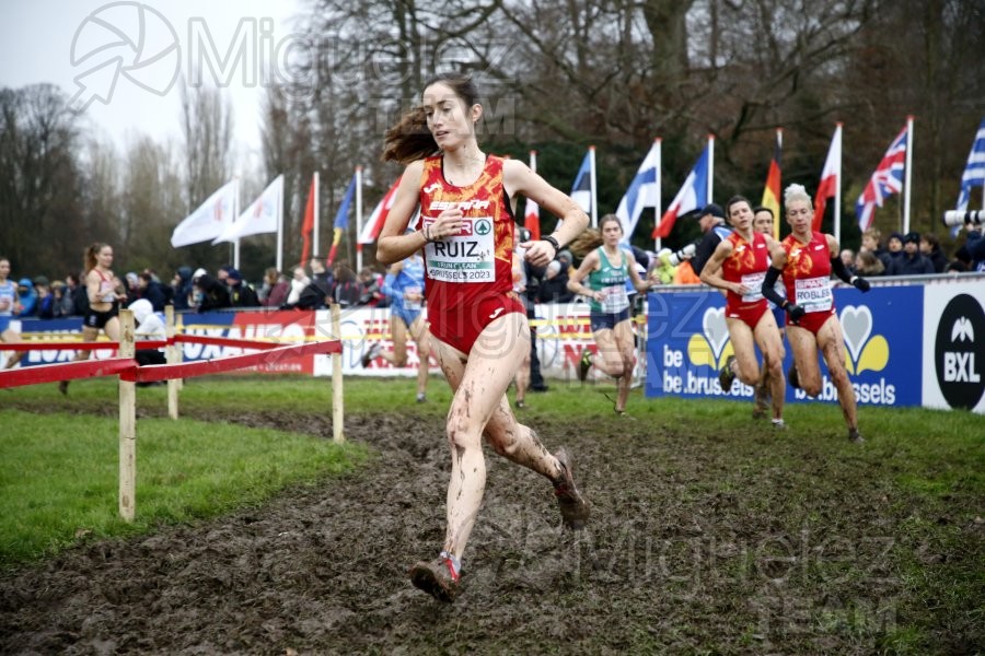 Campeonato de Europa de Campo a Través (Bruselas) 10-12-2023. 