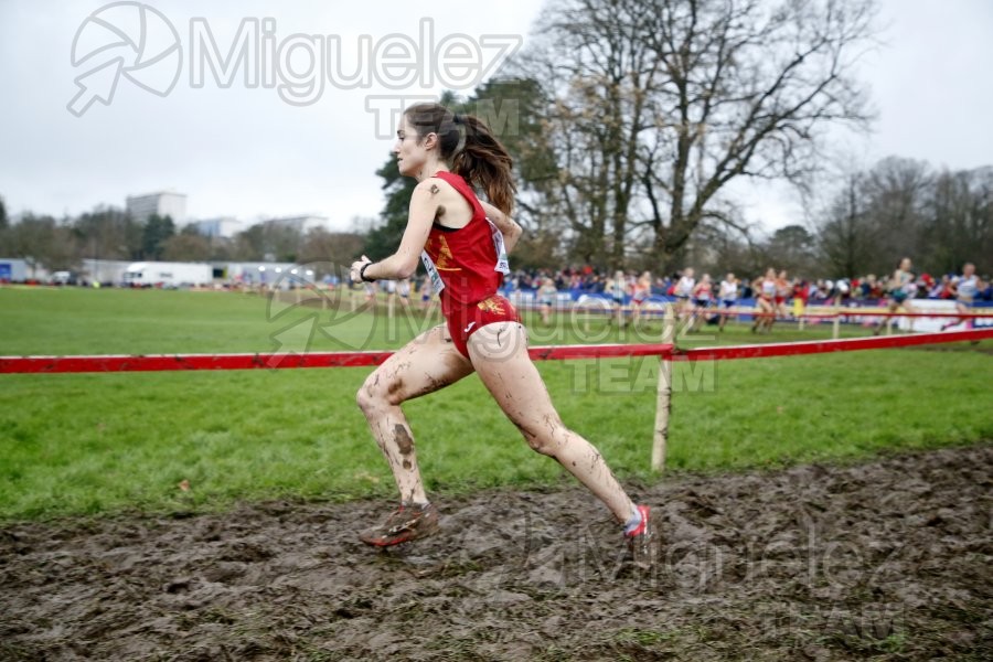 Campeonato de Europa de Campo a Través (Bruselas) 10-12-2023. 