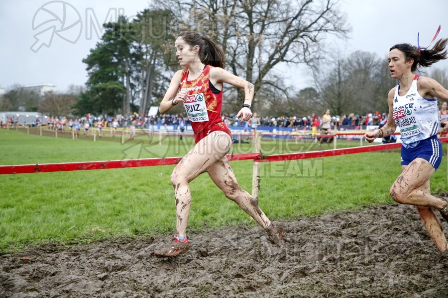 Campeonato de Europa de Campo a Través (Bruselas) 10-12-2023. 