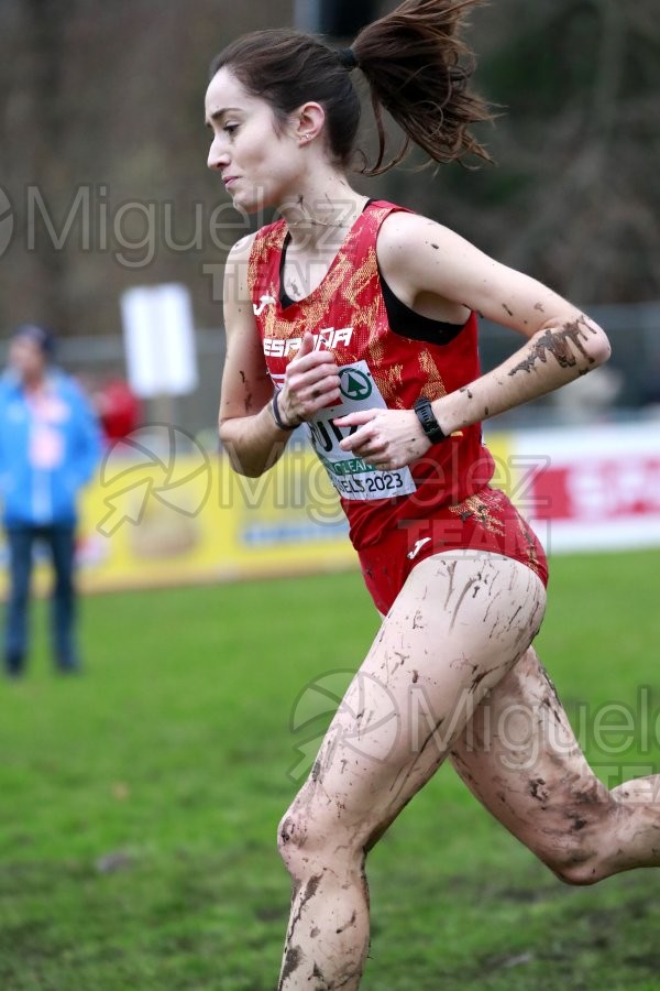 Campeonato de Europa de Campo a Través (Bruselas) 10-12-2023. 