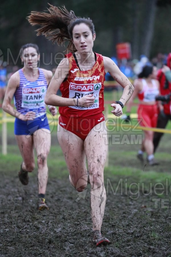 Campeonato de Europa de Campo a Través (Bruselas) 10-12-2023. 