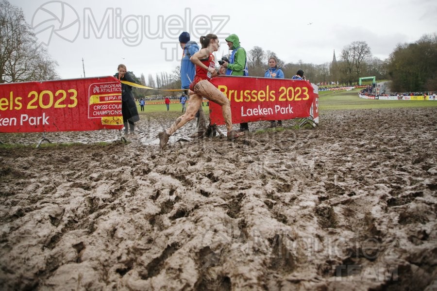 Campeonato de Europa de Campo a Través (Bruselas) 10-12-2023. 