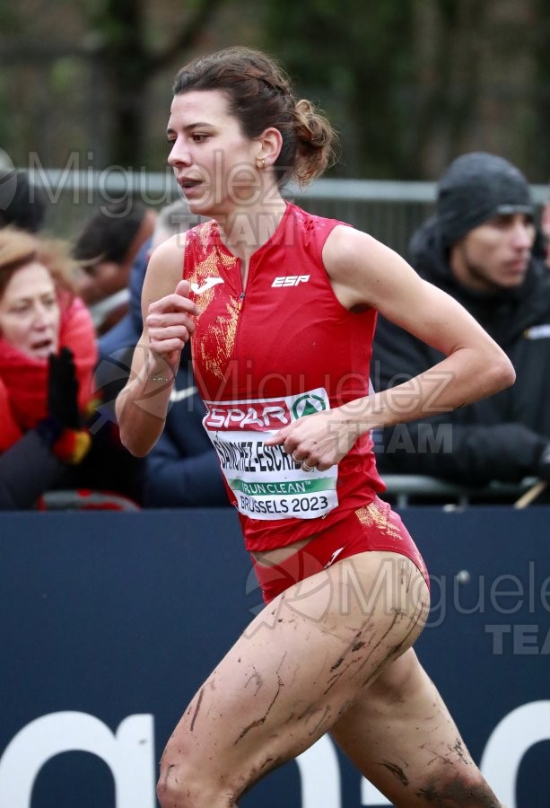 Campeonato de Europa de Campo a Través (Bruselas) 10-12-2023. 