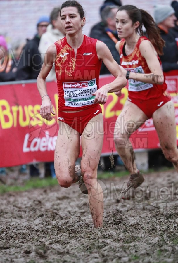 Campeonato de Europa de Campo a Través (Bruselas) 10-12-2023. 