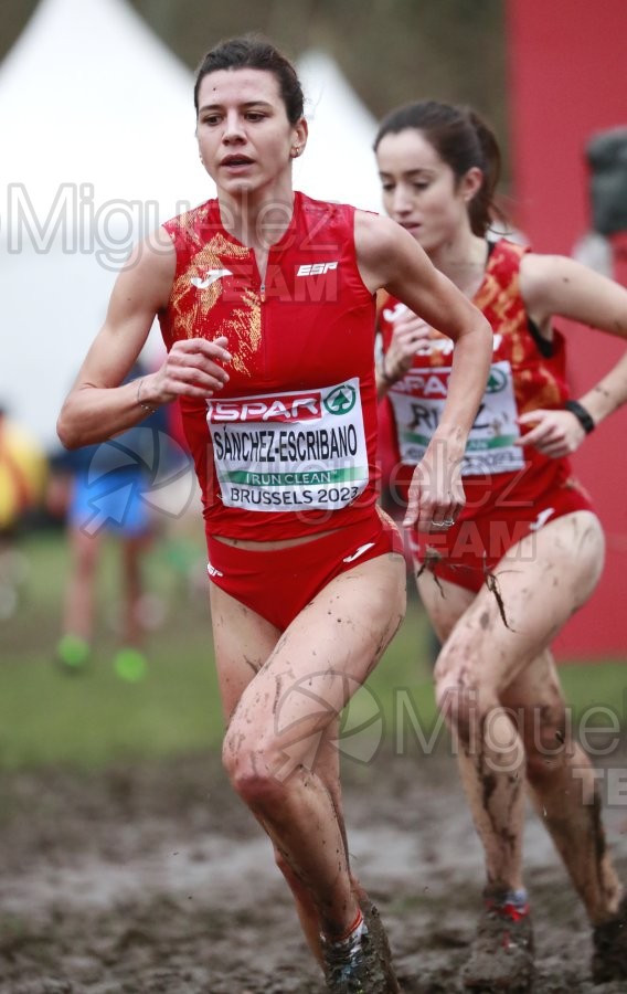 Campeonato de Europa de Campo a Través (Bruselas) 10-12-2023. 