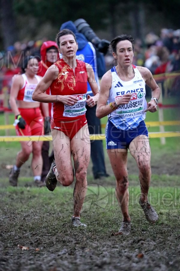 Campeonato de Europa de Campo a Través (Bruselas) 10-12-2023. 