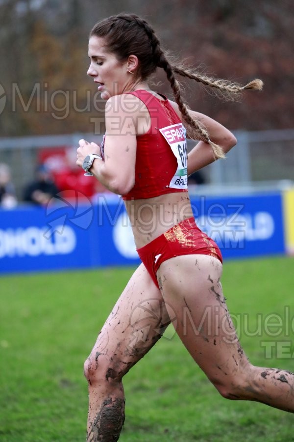 Campeonato de Europa de Campo a Través (Bruselas) 10-12-2023. 