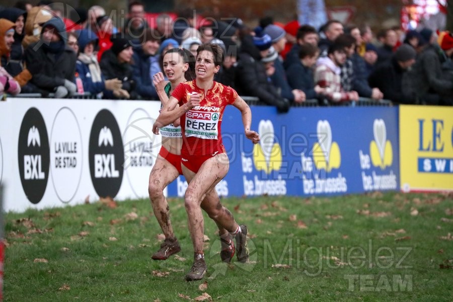 Campeonato de Europa de Campo a Través (Bruselas) 10-12-2023. 