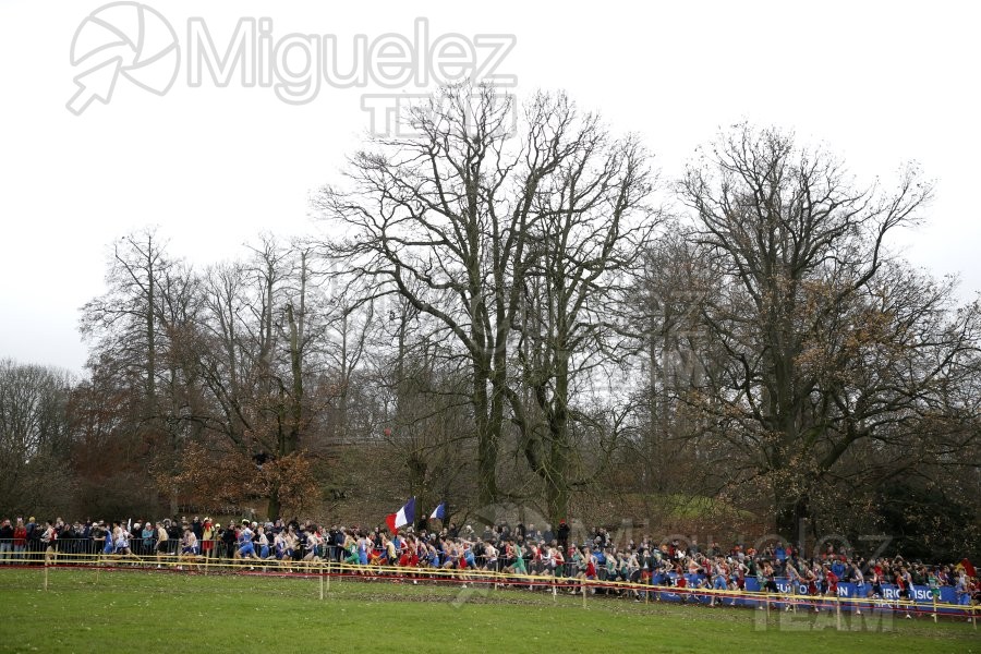 Campeonato de Europa de Campo a Través (Bruselas) 10-12-2023. 