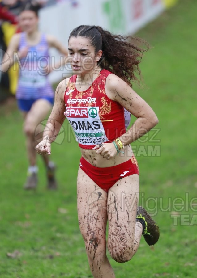 Campeonato de Europa de Campo a Través (Bruselas) 10-12-2023. 