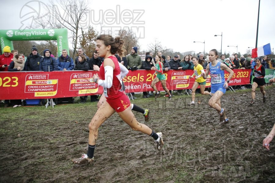 Campeonato de Europa de Campo a Través (Bruselas) 10-12-2023. 