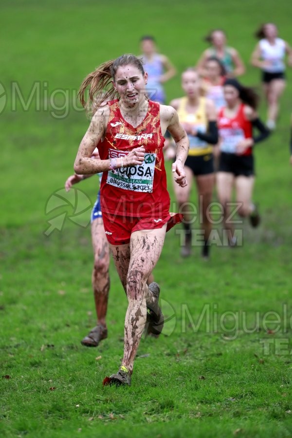 Campeonato de Europa de Campo a Través (Bruselas) 10-12-2023. 