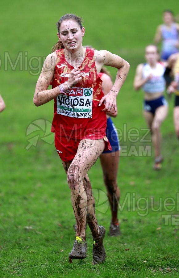 Campeonato de Europa de Campo a Través (Bruselas) 10-12-2023. 