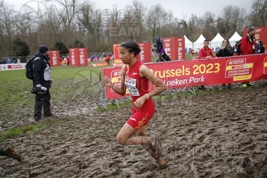 Campeonato de Europa de Campo a Través (Bruselas) 10-12-2023. 