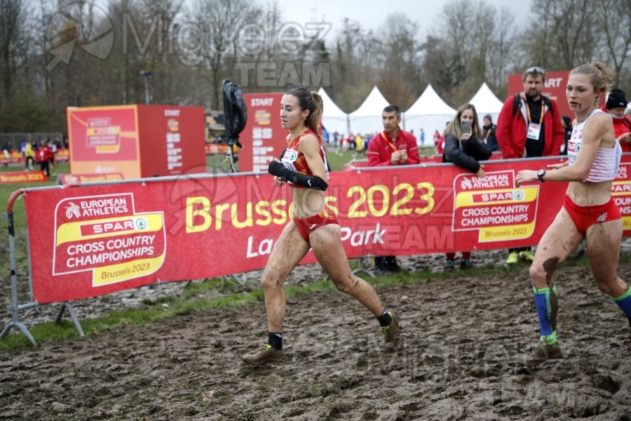 Campeonato de Europa de Campo a Través (Bruselas) 10-12-2023. 