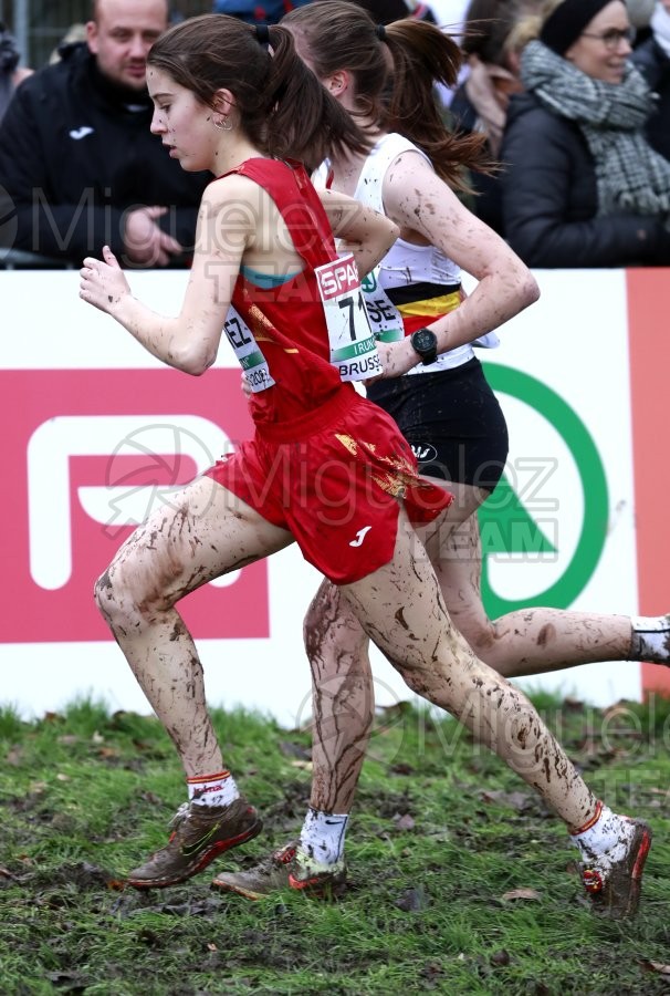 Campeonato de Europa de Campo a Través (Bruselas) 10-12-2023. 